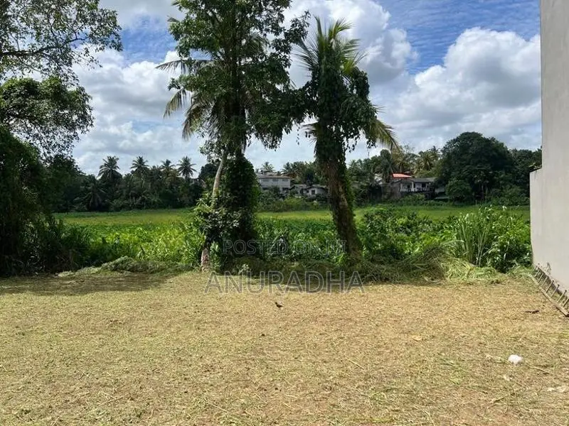 Near Paddy Field Land Mahalwarawa