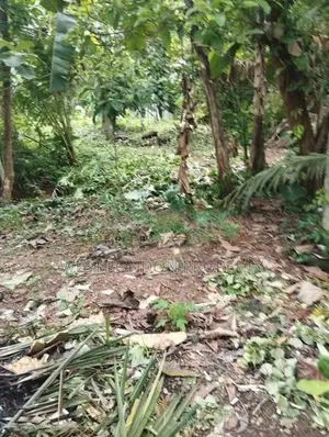 Panadura | 56 Perches of Prime Land for Sale
