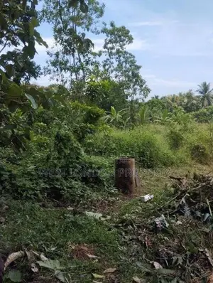 Panadura | 56 Perches of Prime Land for Sale