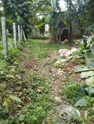 Panadura | 56 Perches of Prime Land for Sale