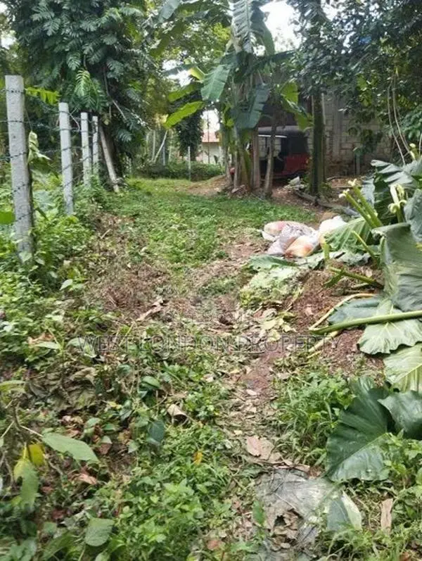 Panadura | 56 Perches of Prime Land for Sale