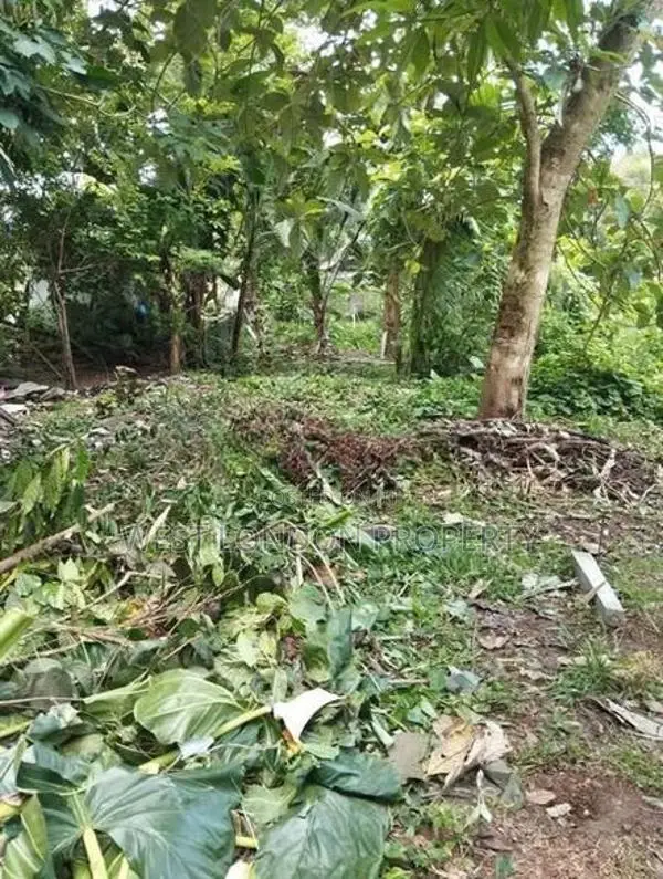 Panadura | 56 Perches of Prime Land for Sale