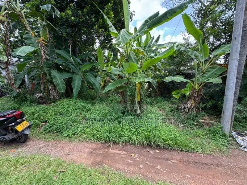 16 Perches Superb Land for Sale in Piliyandala