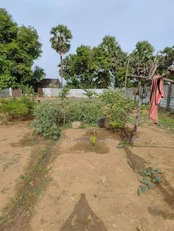 Small House Farm With Garden