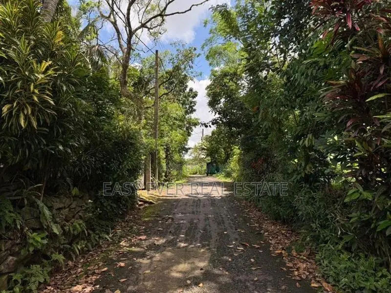 Land for Sale in Hokandara