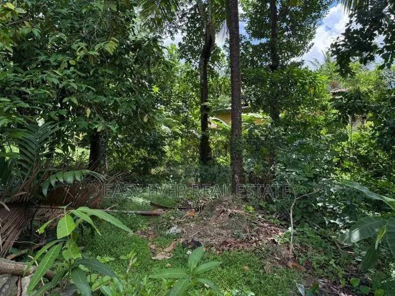 Land for Sale in Hokandara