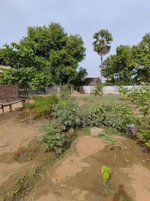Business Land