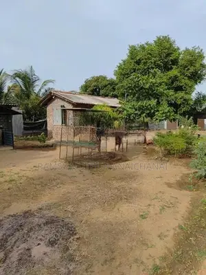Business Land