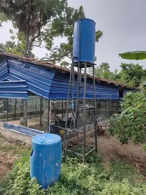 Business Land