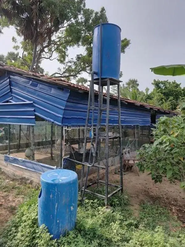 Business Land
