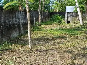 Prime Land for Sale – Pelawatte