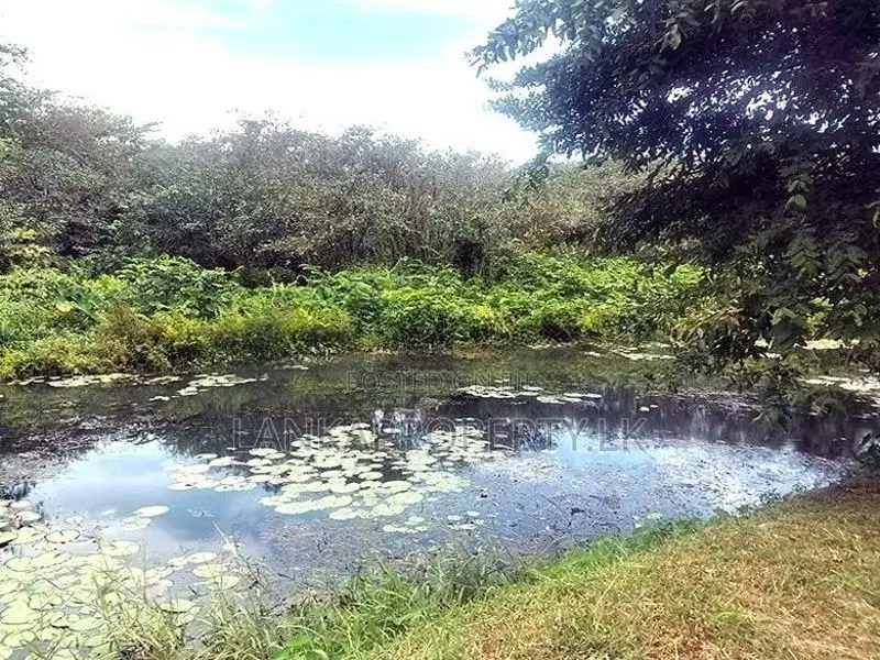 Prime Land for Sale – Pelawatte