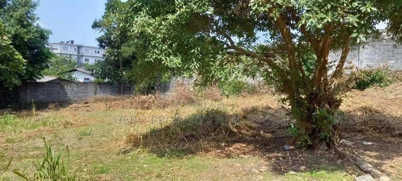 Valuable Land for Sale in Angoda 6 Kanuwa