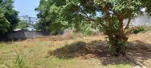 Valuable Land for Sale in Angoda 6 Kanuwa
