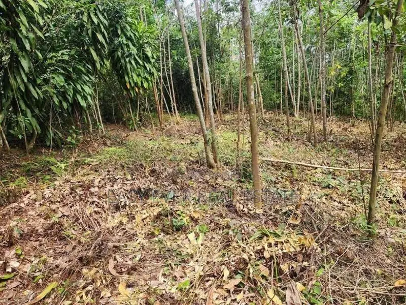 Land for Sale in Pasyala