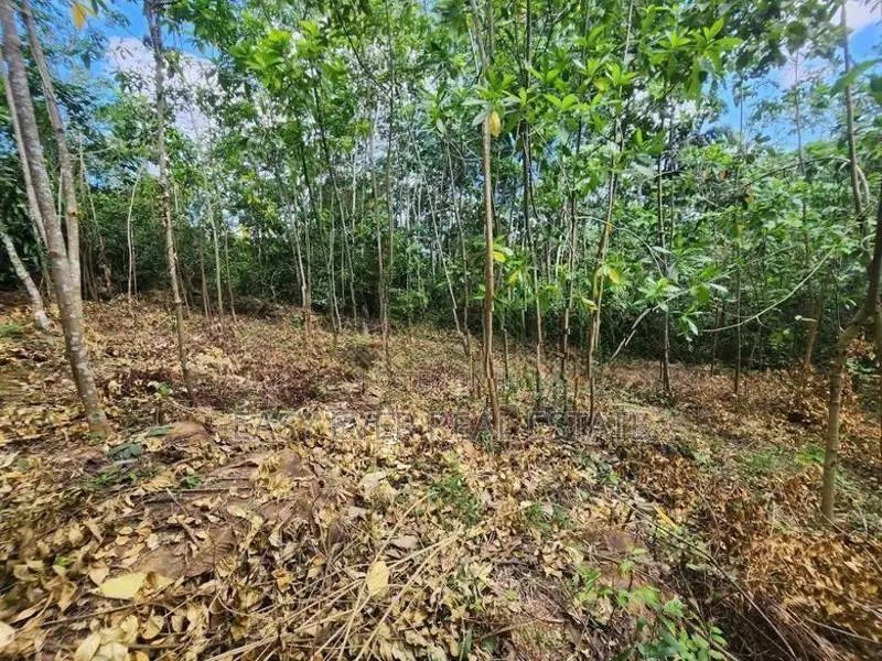 Land for Sale in Pasyala