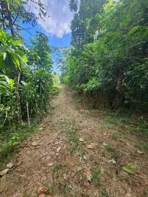 Land for Sale in Pasyala