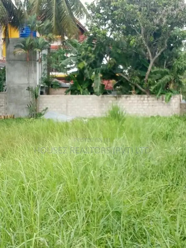 Prime Residential Land for Sale – Kurana, Negombo