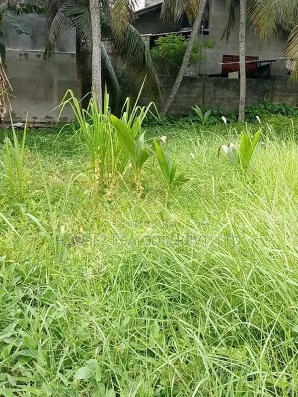 Prime Residential Land for Sale – Kurana, Negombo