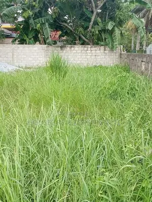 Prime Residential Land for Sale – Kurana, Negombo