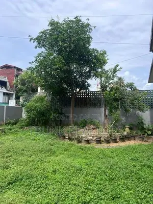 Spacious Commercial House For Rent Colombo 03 (NK11746)