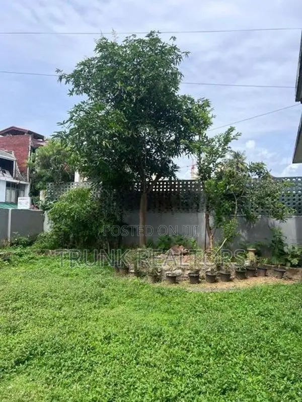 Spacious Commercial House For Rent Colombo 03 (NK11746)