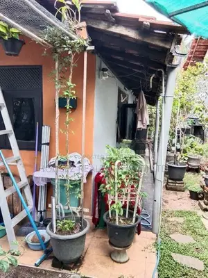 Peaceful 3-Bedroom House for Sale in Colombo–Negombo