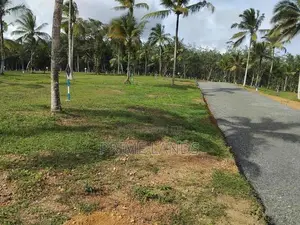 අගනා නේවාසික බිම් කොටස් අලුත්ගම