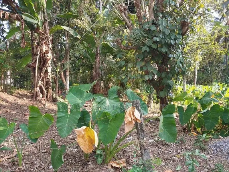 Land for Sale – Near Kandy Colombo Main Road (Kandahena Road)