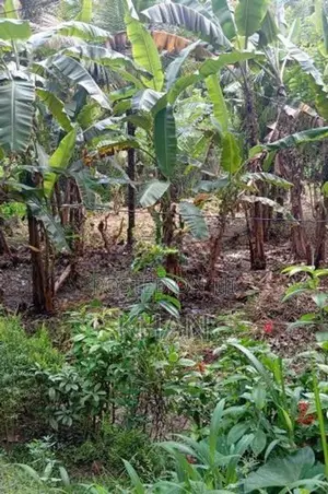 Land for Sale Mawilmada