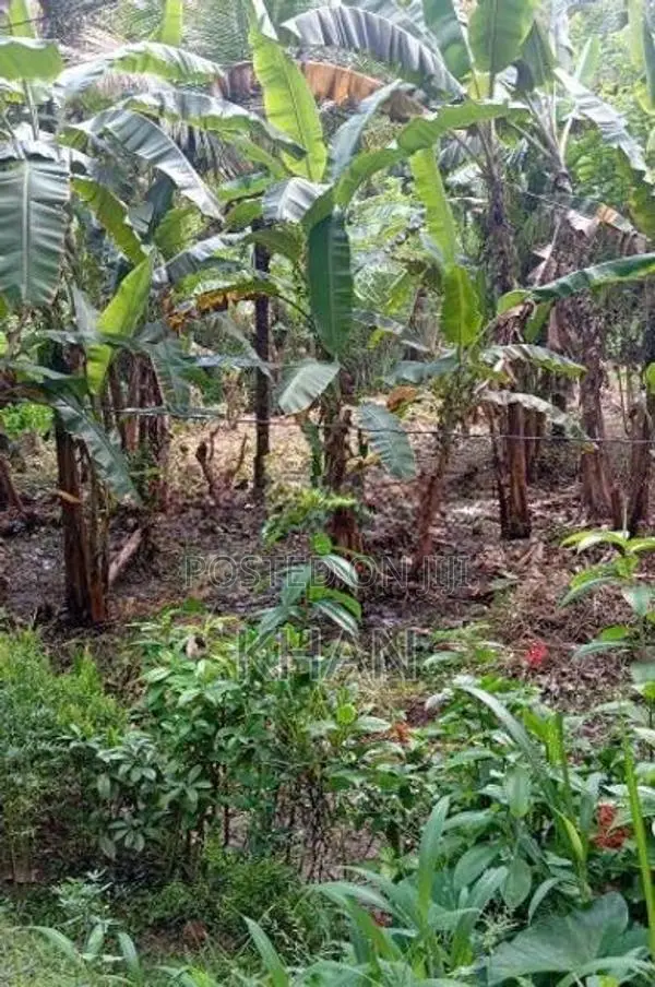 Land for Sale Mawilmada
