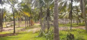 Land for Sale in Kurunegala Kandy Road