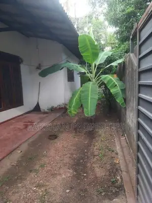 Boralesgamuwa