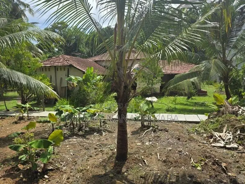Commercial Space Building for Rent Galle