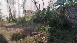 12 Perch Land for Sale – Kadawatha
