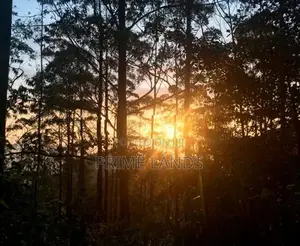 Ella forest view holiday home