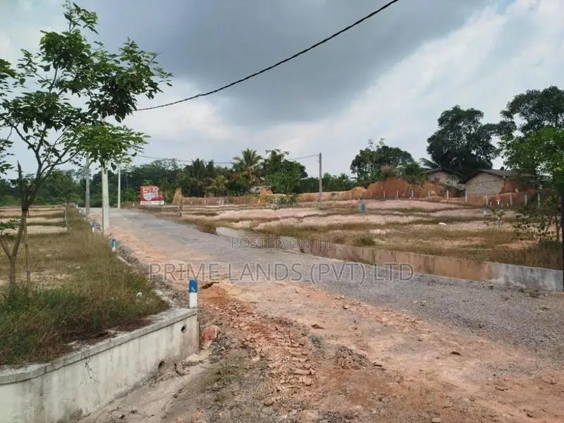 ආටිගල බටවල පාරෙන් බිම් කොටස් විකිණීමට