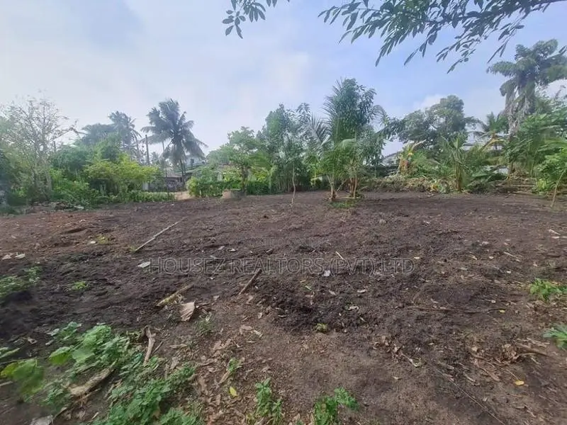 Land for Rent – Ja-Ela, Weligampitiya (Palliya Road)
