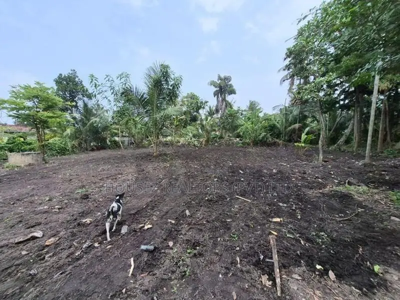 Land for Rent – Ja-Ela, Weligampitiya (Palliya Road)