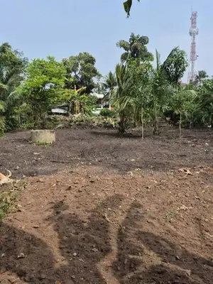 Land for Rent – Ja-Ela, Weligampitiya (Palliya Road)