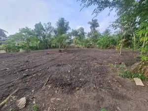 Land for Rent – Ja-Ela, Weligampitiya (Palliya Road)