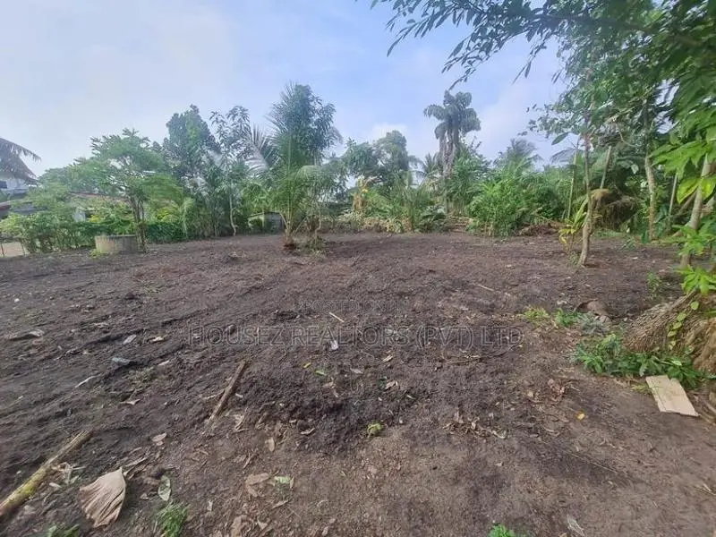 Land for Rent – Ja-Ela, Weligampitiya (Palliya Road)