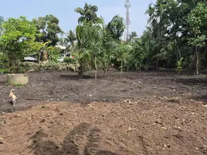 Land for Rent – Ja-Ela, Weligampitiya (Palliya Road)