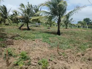 ඉඩම කුලියට මදුරන්කුලිය