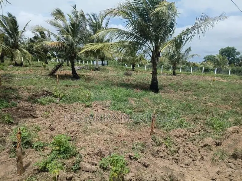 ඉඩම කුලියට මදුරන්කුලිය