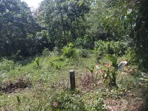 Land For Sale ගුරුගම