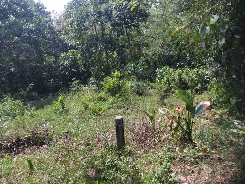 Land For Sale ගුරුගම