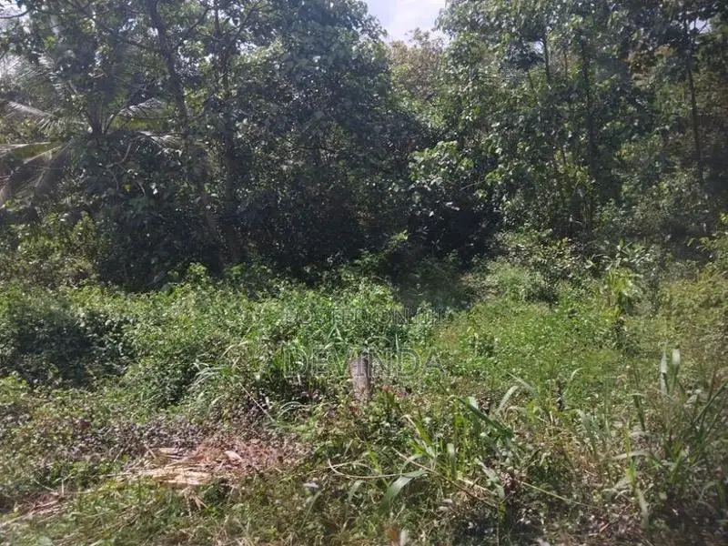 Land For Sale ගුරුගම