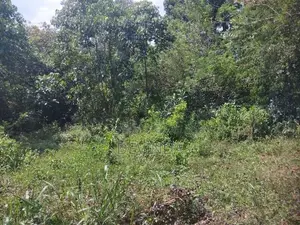 Land For Sale ගුරුගම