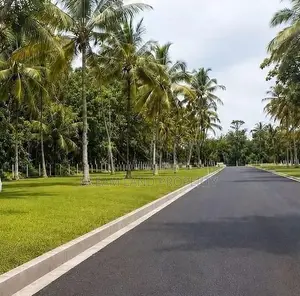 Land for Sale Narammala